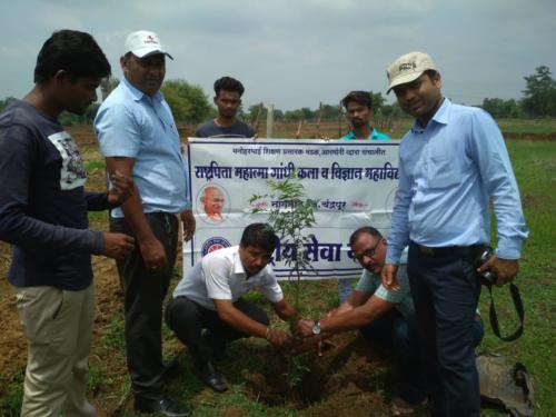 राष्ट्रपिता महात्मा गांधी कला व विज्ञान महाविद्यालय नागभीड येथे वृक्षारोपण कार्यक्रम 